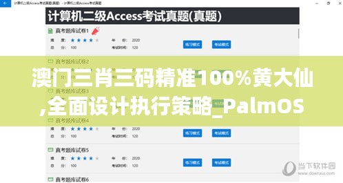 澳门三肖三码精准100%黄大仙,全面设计执行策略_PalmOS16.239