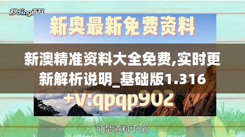 新澳精准资料大全免费,实时更新解析说明_基础版1.316