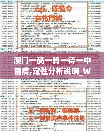 澳门一码一肖一待一中百度,定性分析说明_WP6.694