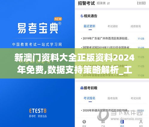 新澳门资料大全正版资料2024年免费,数据支持策略解析_工具版6.789