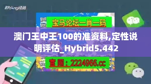 澳门王中王100的准资料,定性说明评估_Hybrid5.442