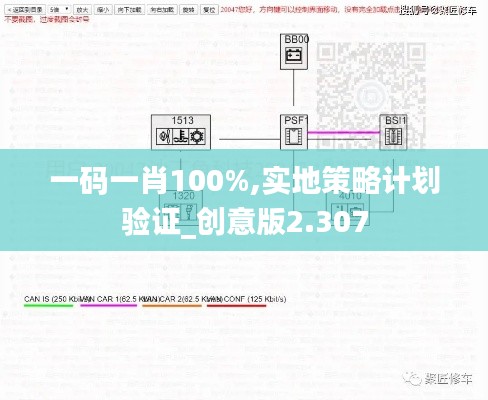 一码一肖100%,实地策略计划验证_创意版2.307