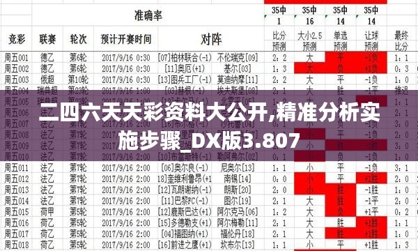 二四六天天彩资料大公开,精准分析实施步骤_DX版3.807