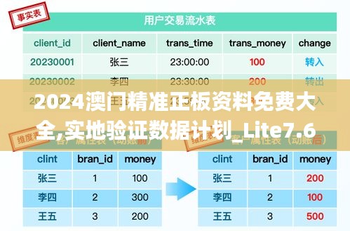 2024澳门精准正板资料免费大全,实地验证数据计划_Lite7.628