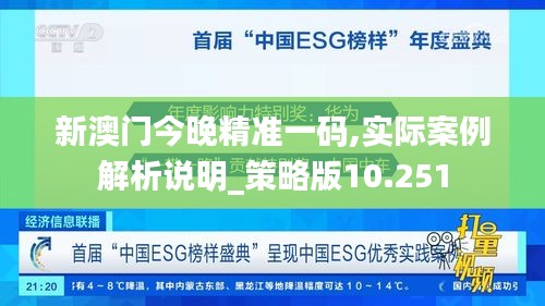 新澳门今晚精准一码,实际案例解析说明_策略版10.251