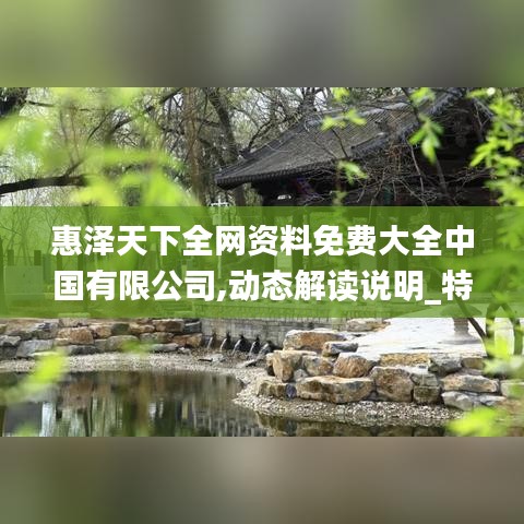 惠泽天下全网资料免费大全中国有限公司,动态解读说明_特供款2.490