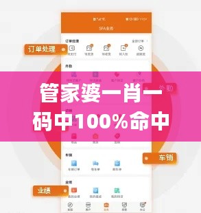 管家婆一肖一码中100%命中,数据整合执行设计_视频版3.935