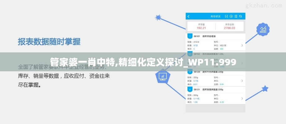 管家婆一肖中特,精细化定义探讨_WP11.999