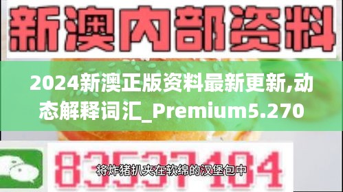 2024新澳正版资料最新更新,动态解释词汇_Premium5.270