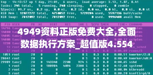 4949资料正版免费大全,全面数据执行方案_超值版4.554