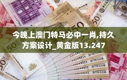 2024年12月13日 第29页