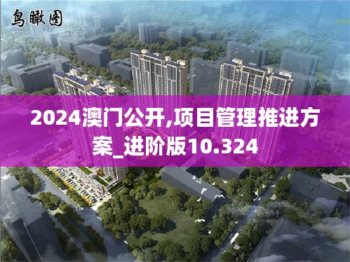 2024澳门公开,项目管理推进方案_进阶版10.324