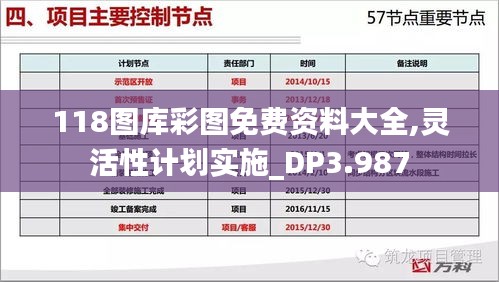 118图库彩图免费资料大全,灵活性计划实施_DP3.987