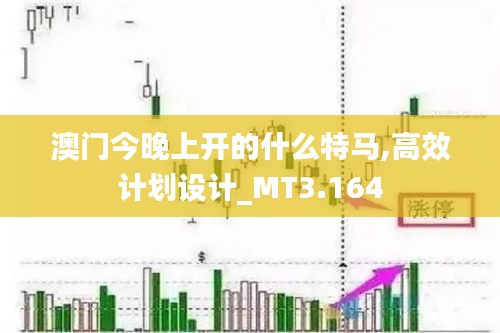 澳门今晚上开的什么特马,高效计划设计_MT3.164