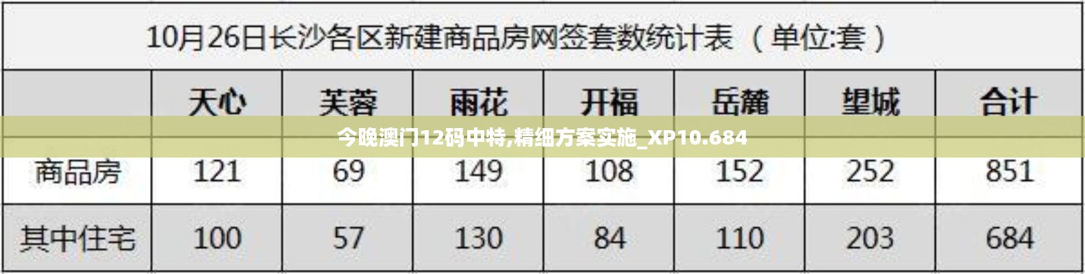 今晚澳门12码中特,精细方案实施_XP10.684