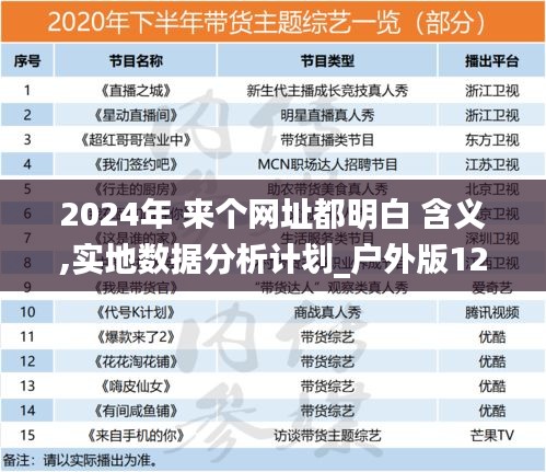 2024年 来个网址都明白 含义,实地数据分析计划_户外版12.504