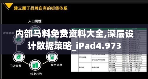 内部马料免费资料大全,深层设计数据策略_iPad4.973