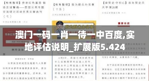 澳门一码一肖一待一中百度,实地评估说明_扩展版5.424