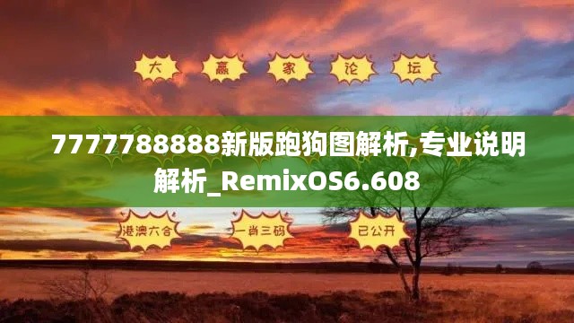 7777788888新版跑狗图解析,专业说明解析_RemixOS6.608