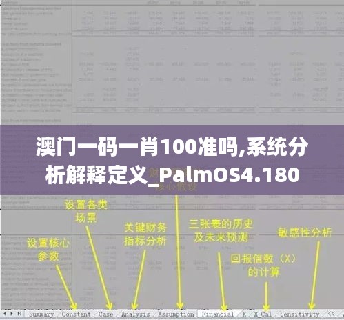 澳门一码一肖100准吗,系统分析解释定义_PalmOS4.180