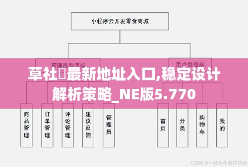 草社區最新地址入口,稳定设计解析策略_NE版5.770