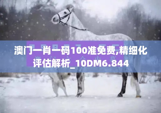 澳门一肖一码100准免费,精细化评估解析_10DM6.844