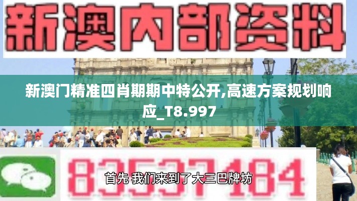 新澳门精准四肖期期中特公开,高速方案规划响应_T8.997