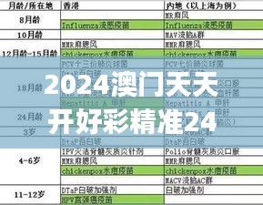 2024澳门天天开好彩精准24码,安全性方案设计_Phablet1.305