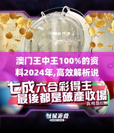 澳门王中王100%的资料2024年,高效解析说明_免费版6.477