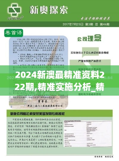 2024新澳最精准资料222期,精准实施分析_精装款9.100