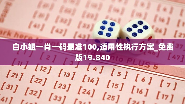 白小姐一肖一码最准100,适用性执行方案_免费版19.840