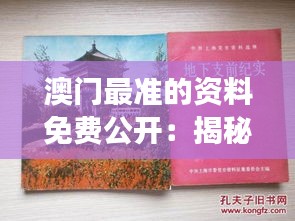 澳门最准的资料免费公开：揭秘澳门旅游实用宝典