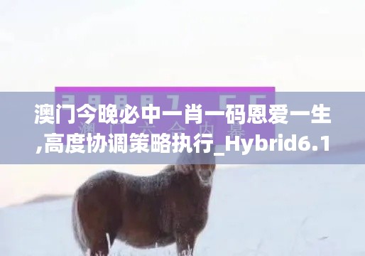 澳门今晚必中一肖一码恩爱一生,高度协调策略执行_Hybrid6.157