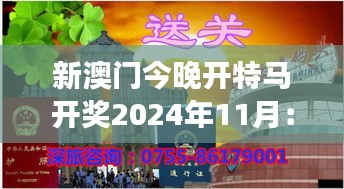 新澳门今晚开特马开奖2024年11月：赌场之情与理交织