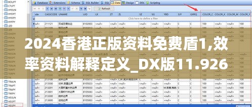 2024香港正版资料免费盾1,效率资料解释定义_DX版11.926