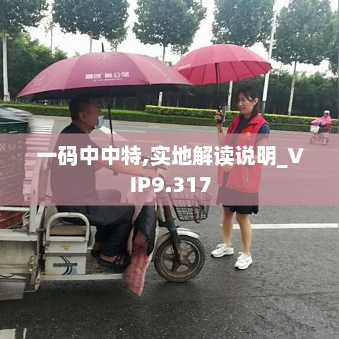 一码中中特,实地解读说明_VIP9.317