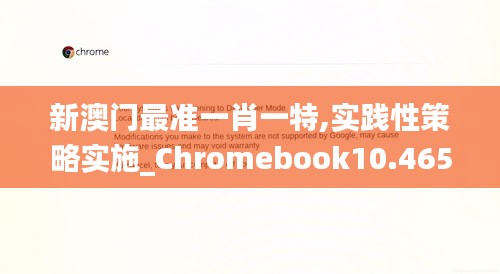 新澳门最准一肖一特,实践性策略实施_Chromebook10.465