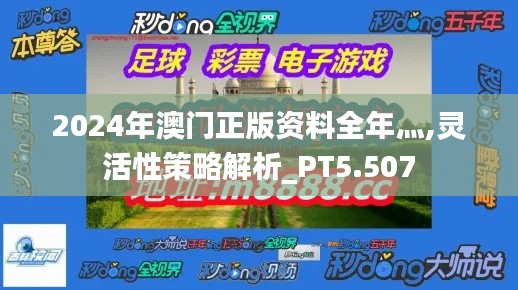 2024年澳门正版资料全年灬,灵活性策略解析_PT5.507