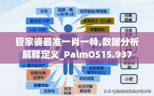 管家婆最准一肖一特,数据分析解释定义_PalmOS15.937