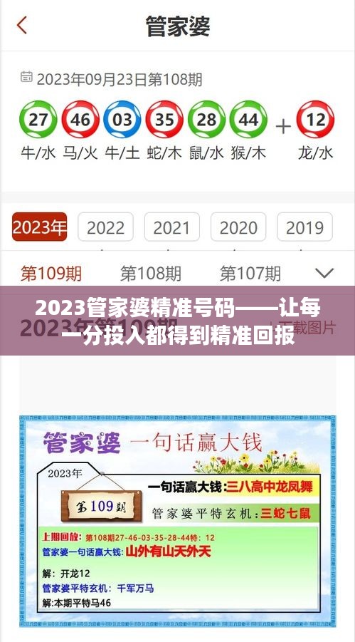 2023管家婆精准号码——让每一分投入都得到精准回报