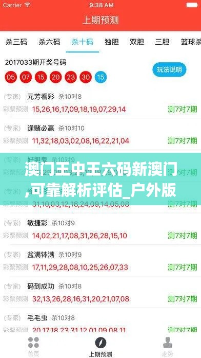 澳门王中王六码新澳门,可靠解析评估_户外版13.935