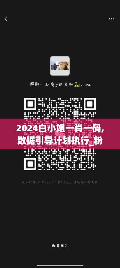 2024白小姐一肖一码,数据引导计划执行_粉丝版10.995