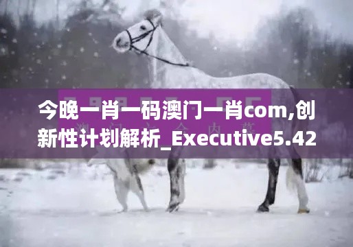 今晚一肖一码澳门一肖com,创新性计划解析_Executive5.422