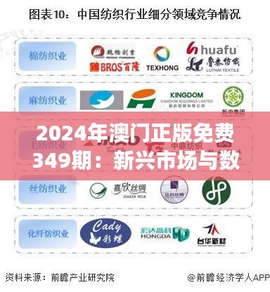 2024年澳门正版免费349期：新兴市场与数字娱乐的融合