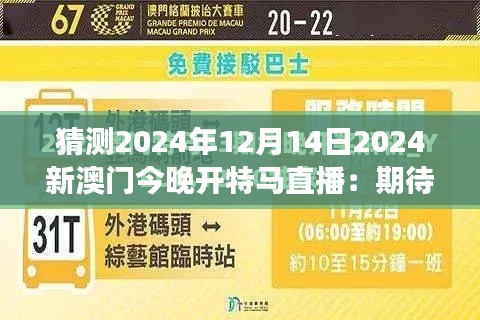 2024年12月 第143页