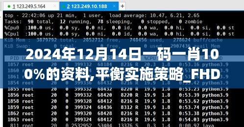 2024年12月14日一码一肖100%的资料,平衡实施策略_FHD版4.777