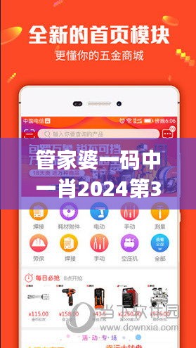 2024年12月 第136页