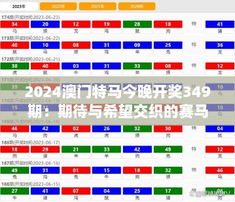 2024澳门特马今晚开奖349期：期待与希望交织的赛马盛宴