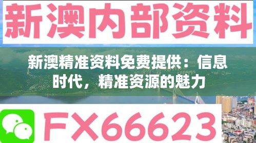 新澳精准资料免费提供：信息时代，精准资源的魅力