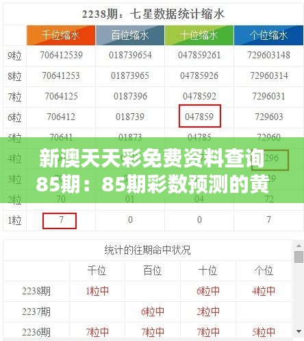 新澳天天彩免费资料查询85期：85期彩数预测的黄金钥匙